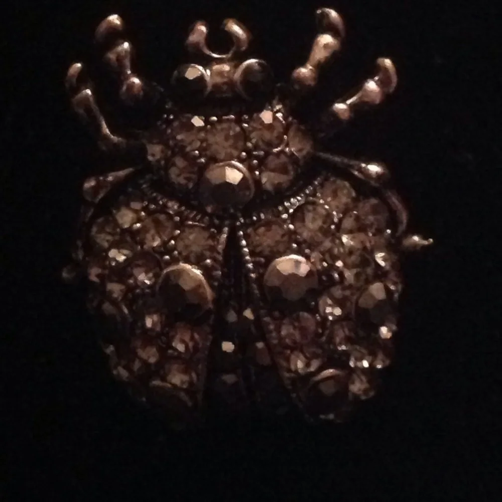 NWT On-trend Pave Gunmetal Beetle Brooch in Box